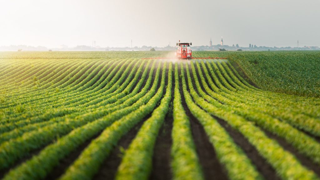 Modern agricultural drone and ground sprayer maintaining curved crop rows showcasing precision farming technology