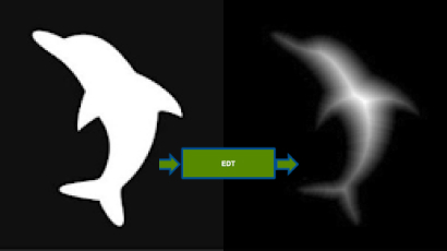  Euclidean Distance Transform (EDT) as an example of NPP