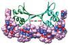 Artificial transcription factor