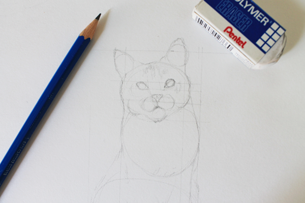 How To Draw A Realistic Cat Step By Step Tutorial Craftsy