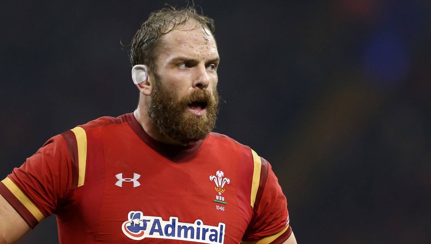 Welsh Rugby Union Wales Regions Edwards Hails World Class Alun Wyn Jones
