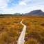 Cradle Mountain / Overland Track