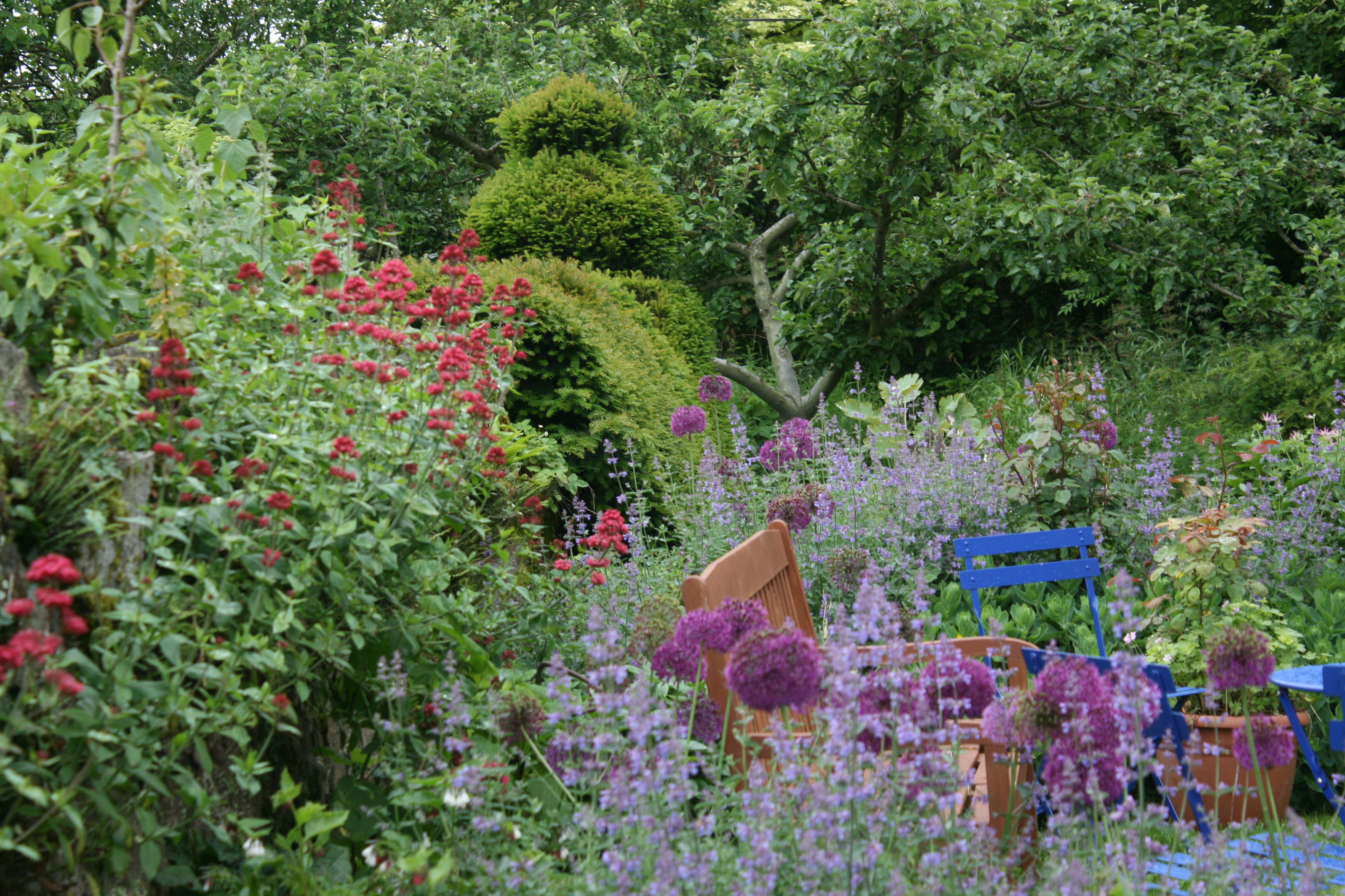 Planting for pollinators