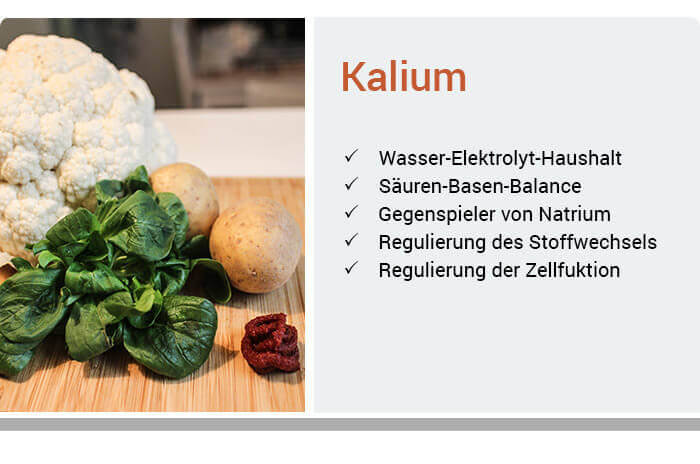 Kalium Mangel Erkennen Behandeln Vorbeugen Wolfs Apotheke Bredstedt