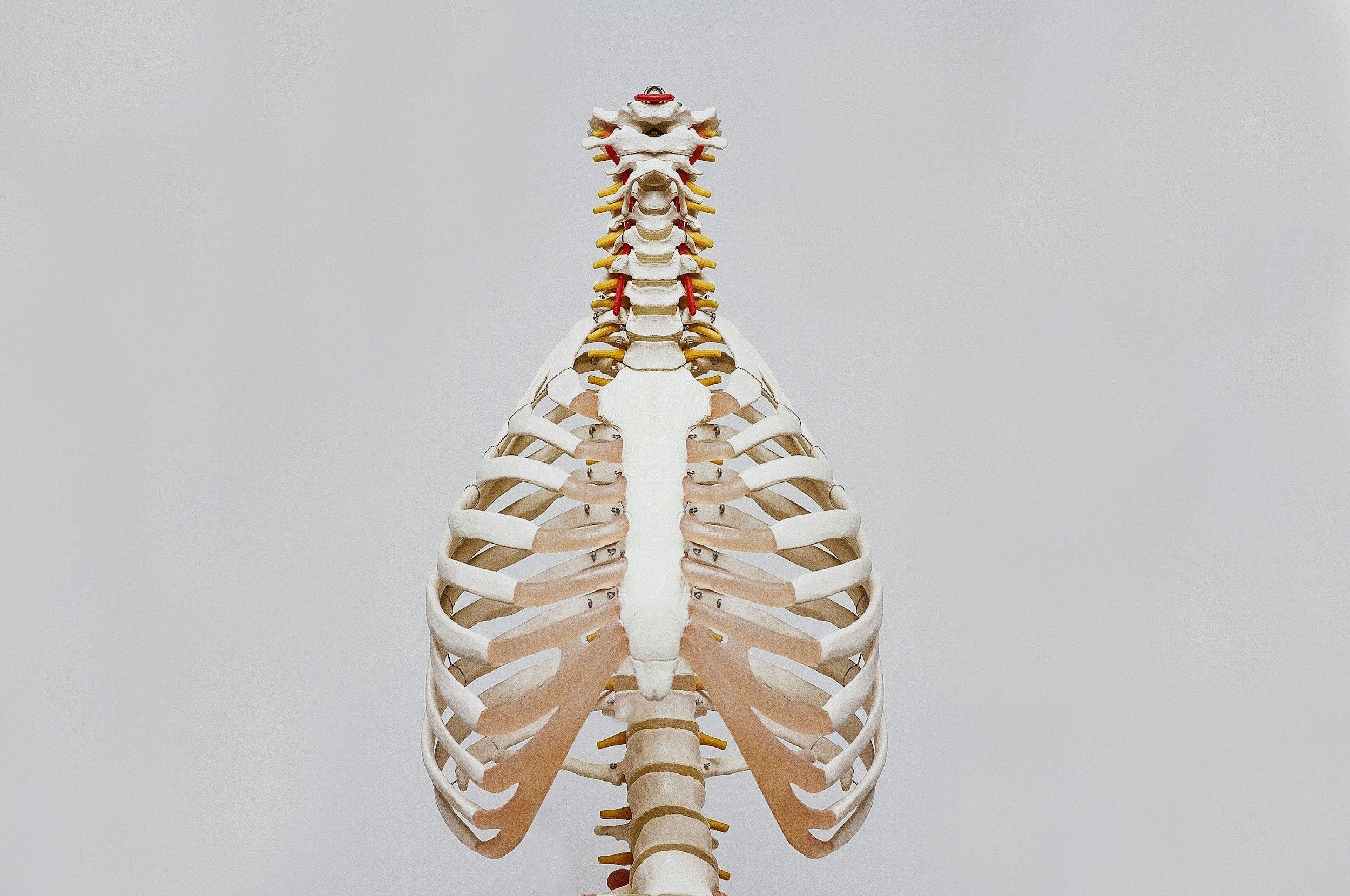 Three Nutrients to Help You Maintain Bone Density with Age