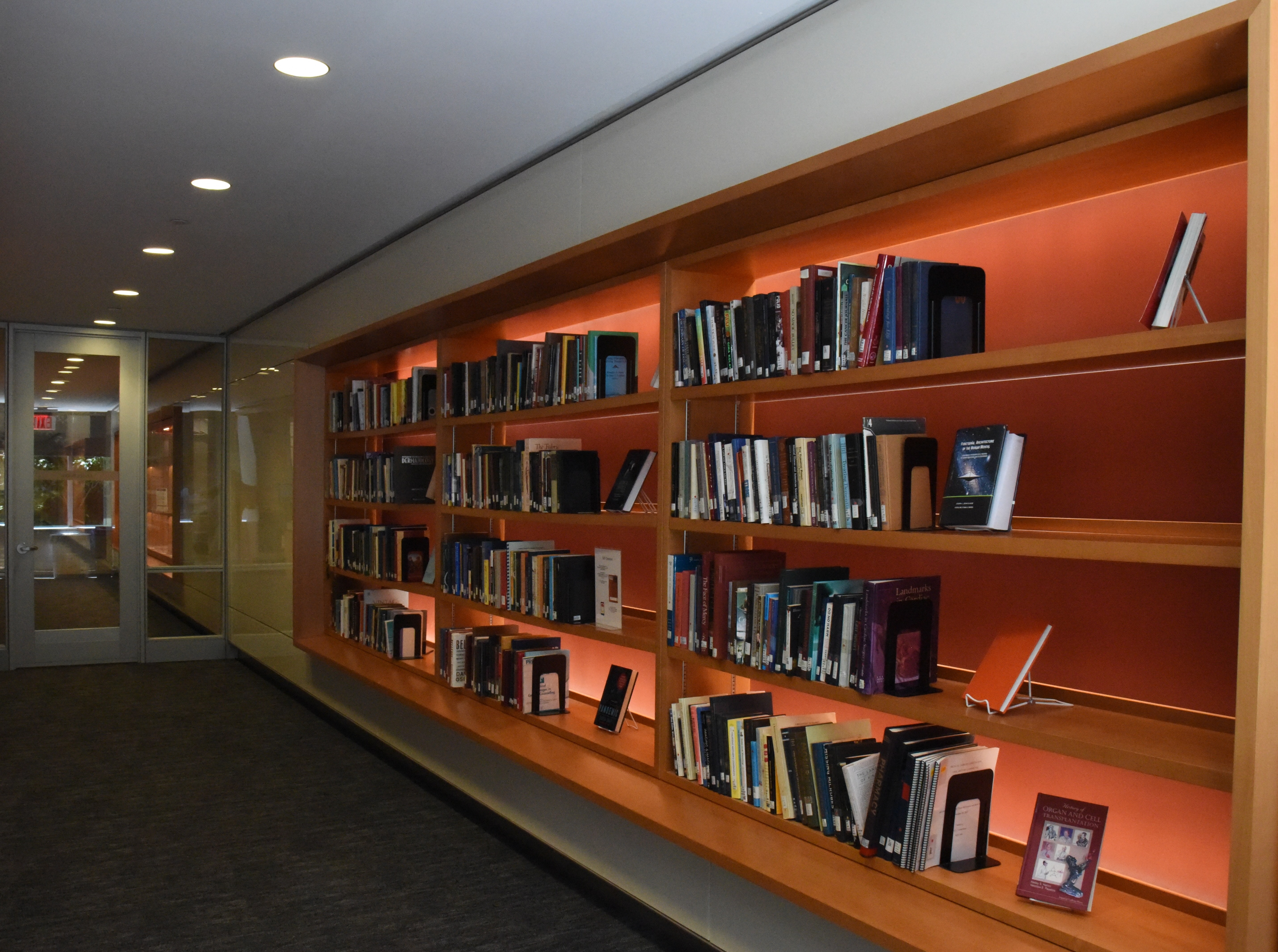 Quiet study space with books on the right hand side of the page 