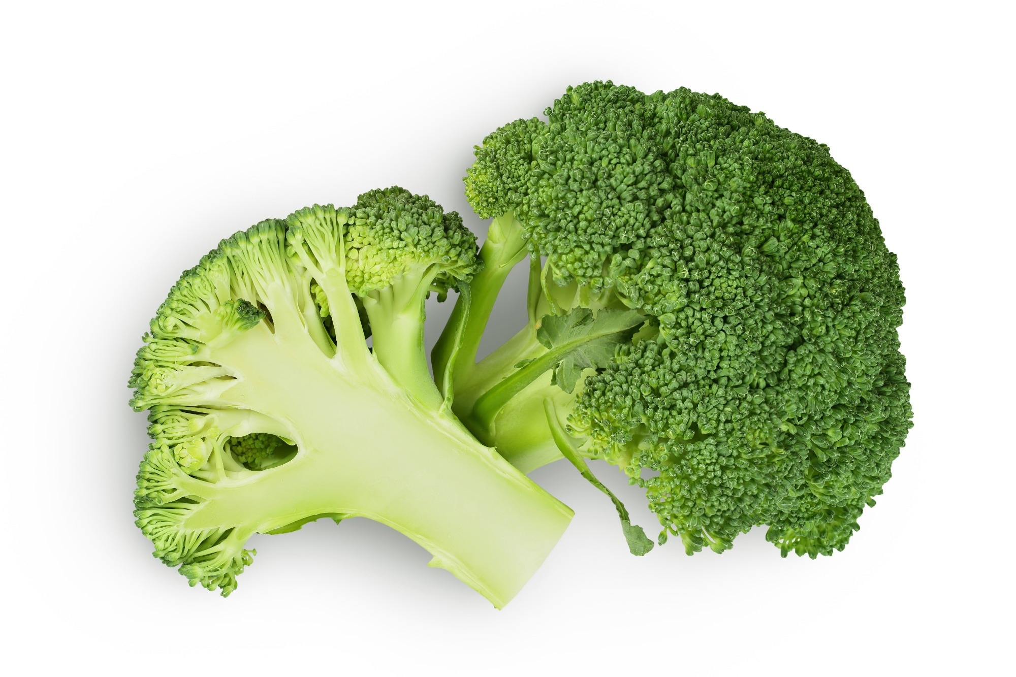 New research reveals broccoli sprouts may alleviate Crohn's disease