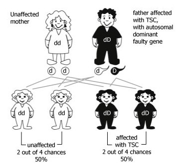 Autosomal dominant inheritance