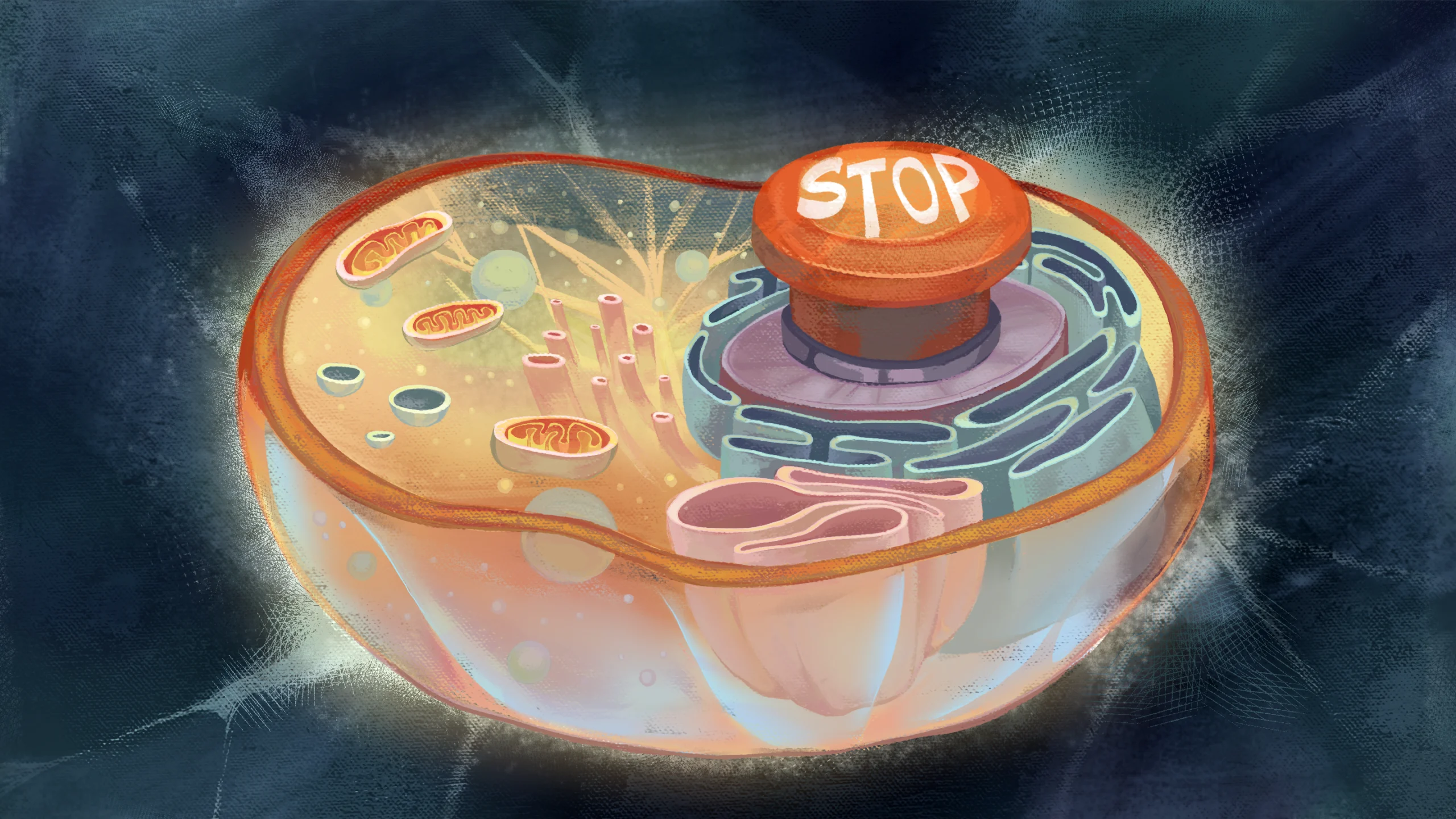 An illustration of a cross section of a cell has a big red “stop” button on it.