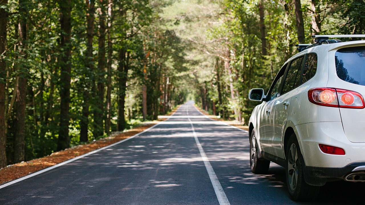 Driving car on a forest asphalt road among trees