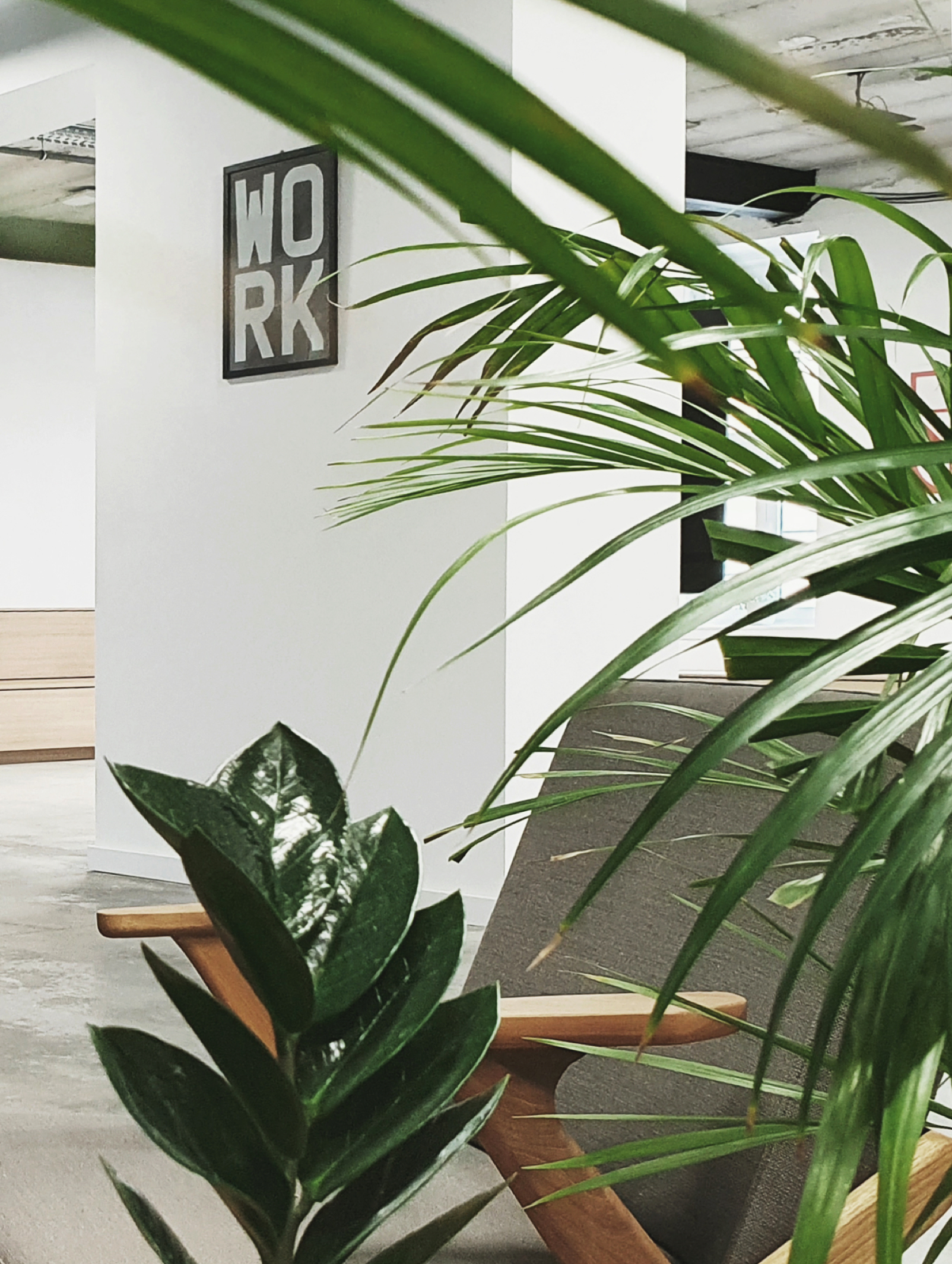 belgrade office