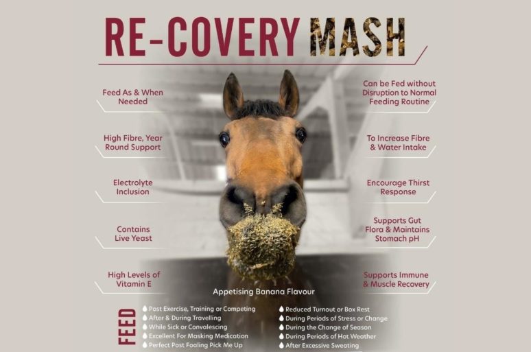 Saracen Horse Feeds Latest News Saracen Horse Feeds