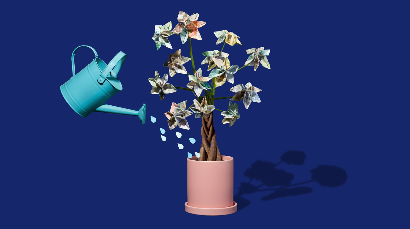 Watering can watering a money tree representing financial services