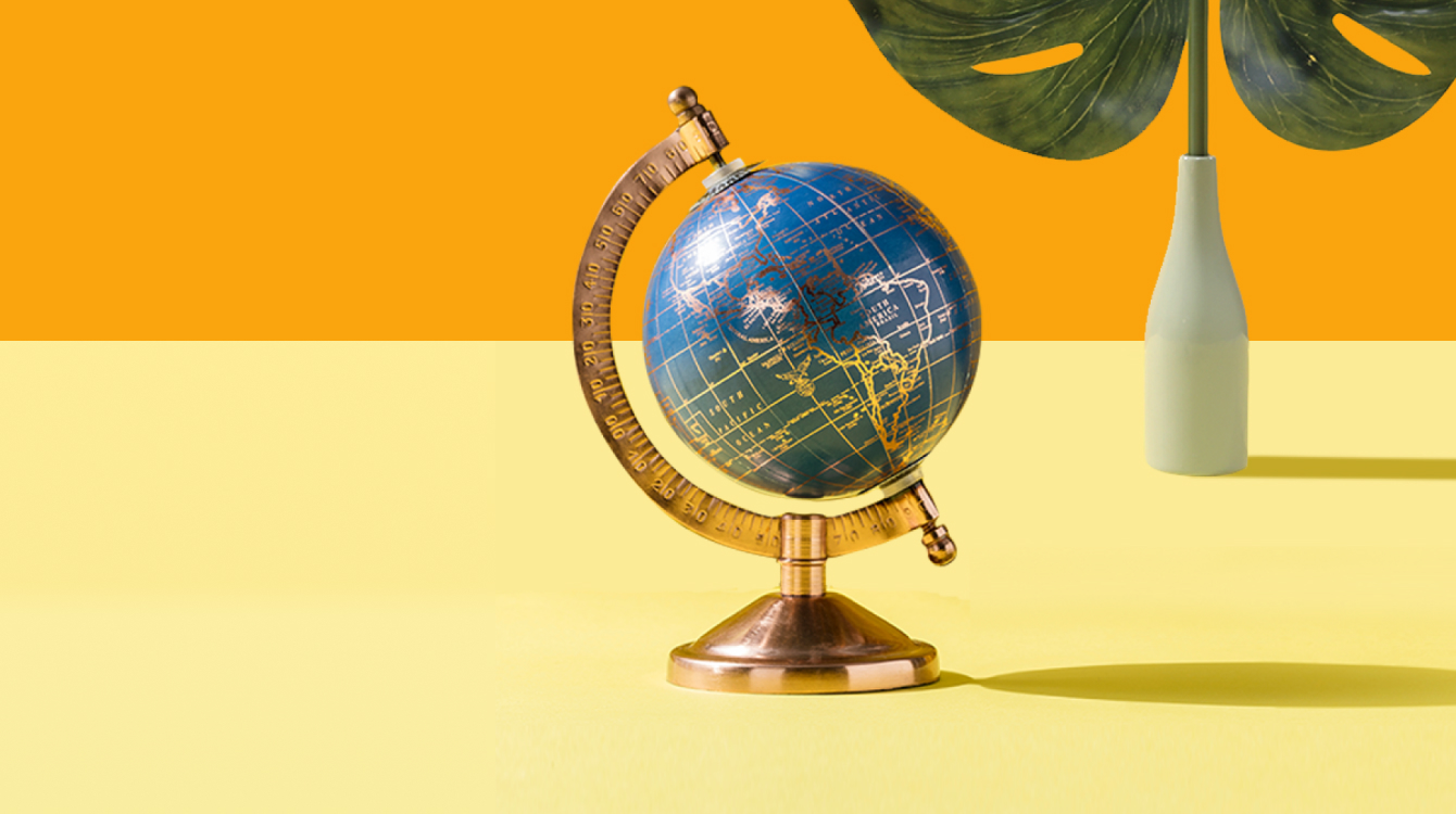 Globe with a plant in the background