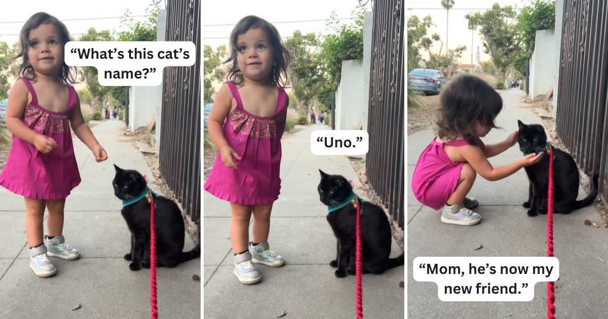 Sweet little girl's interaction with a cat named Uno is proof that some friendships are meant to be