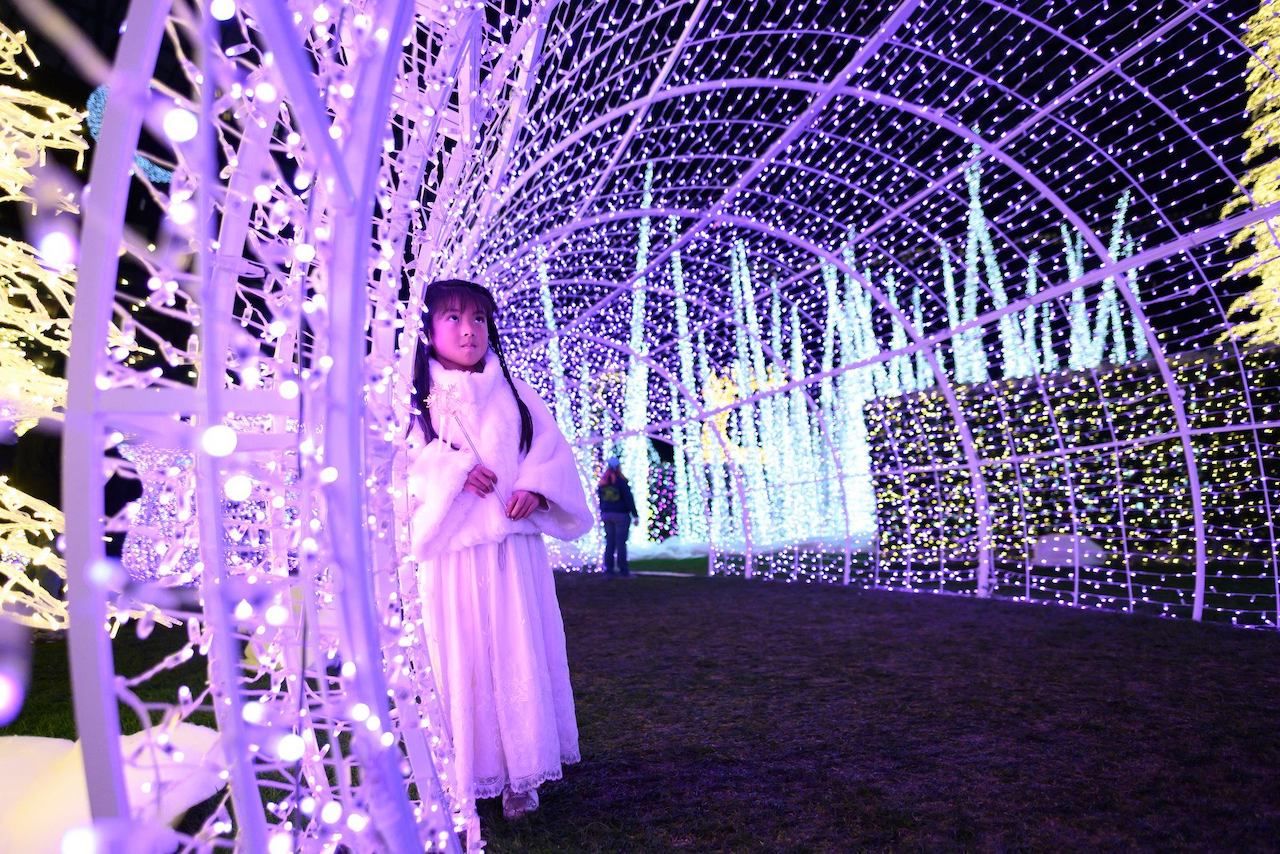 Christmas Lights Maze In Baseball Fields
