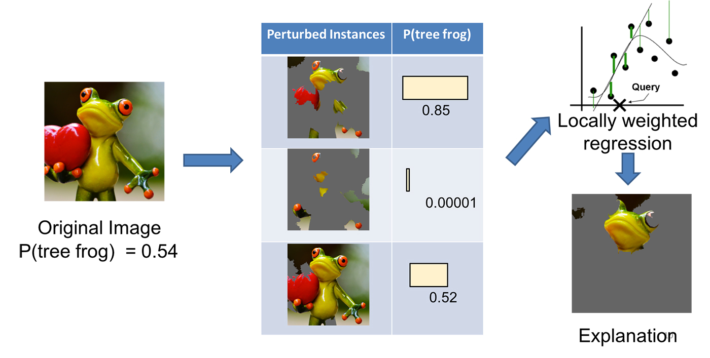Explaining a prediction with LIME