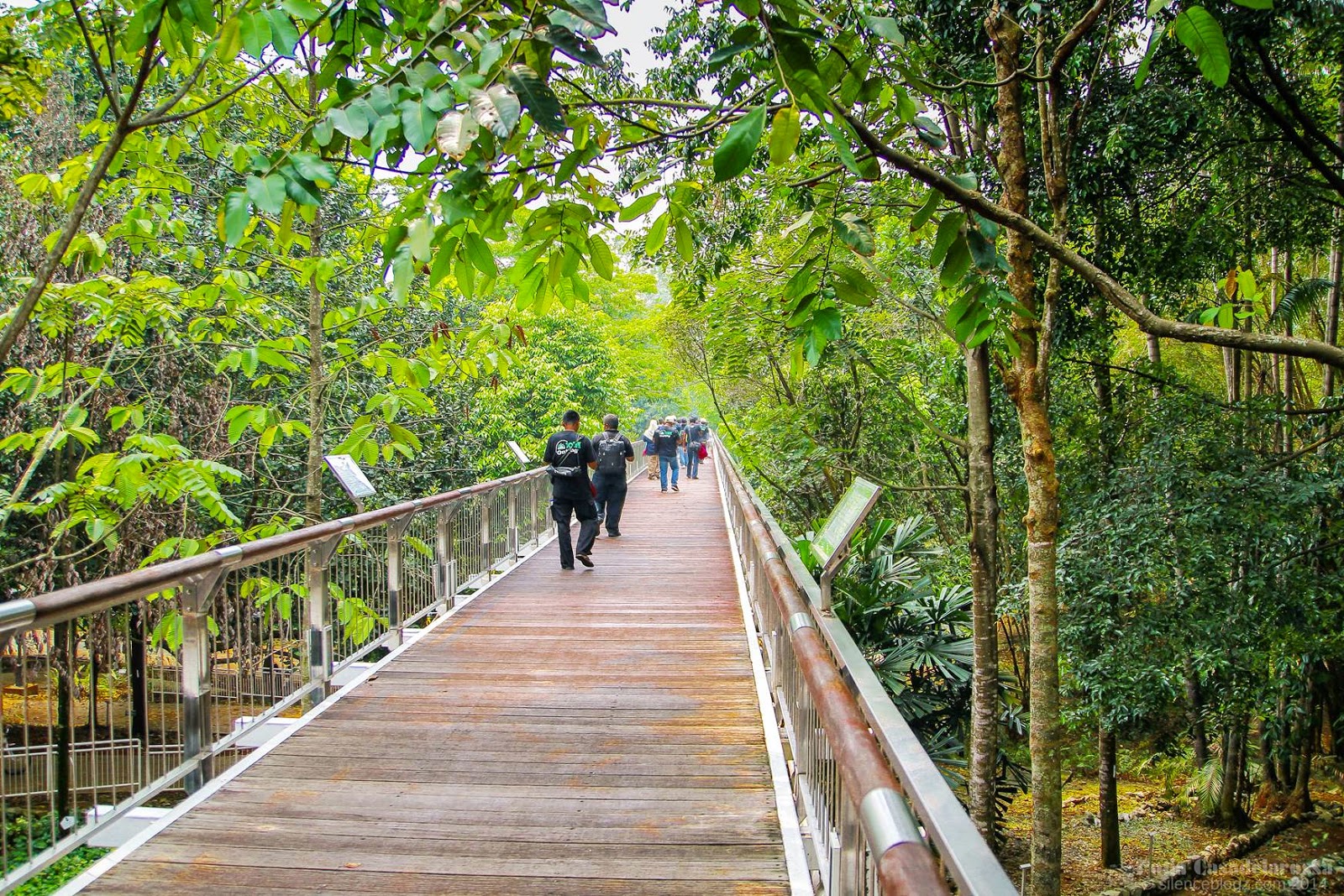 7 Scenic Jogging Trails In Klang Valley You Should Sweat Your Lungs Out At | Lifestyle | Rojak Daily
