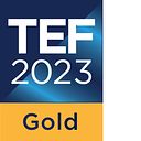 Teaching Excellence Framework Gold