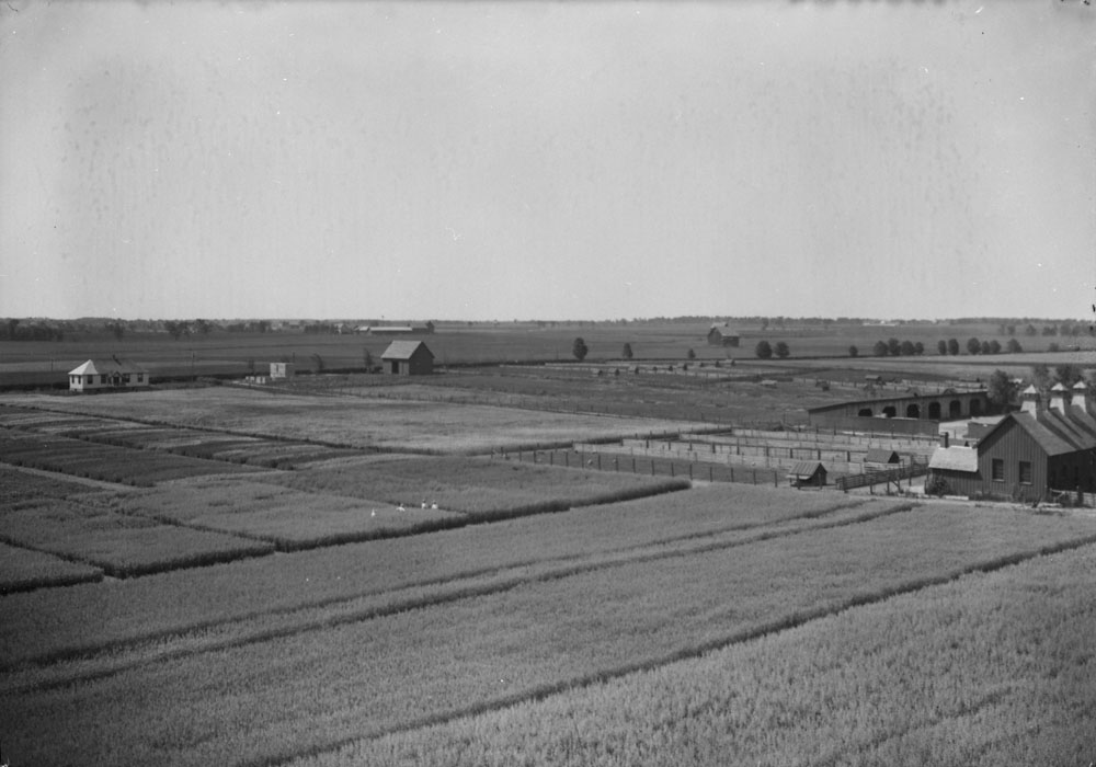 Ferme expérimentale centrale