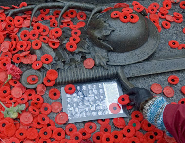 Remembrance Day Poppy The Canadian Encyclopedia