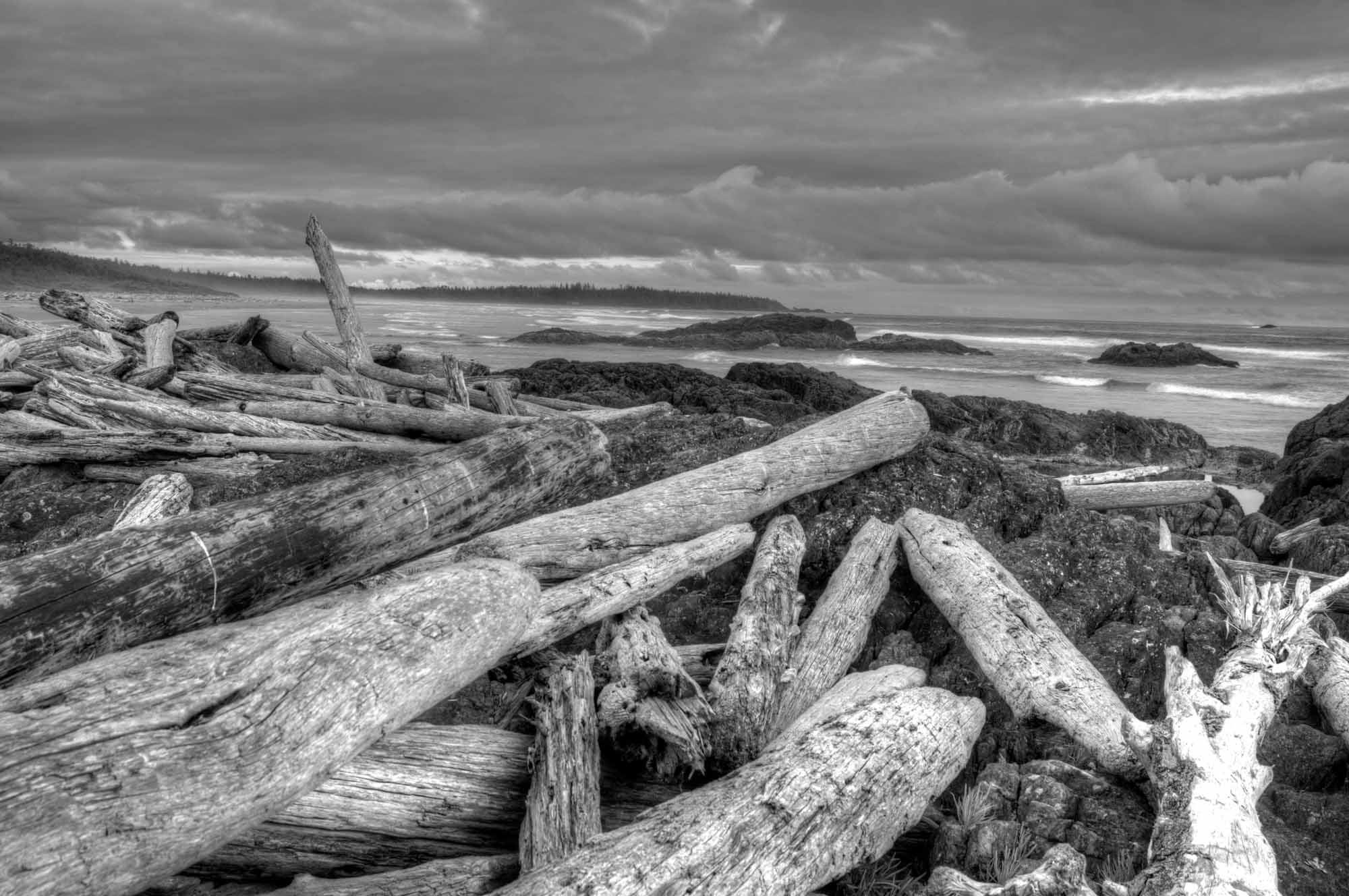 Pacific Rim National Park Reserve, Vancouver Island