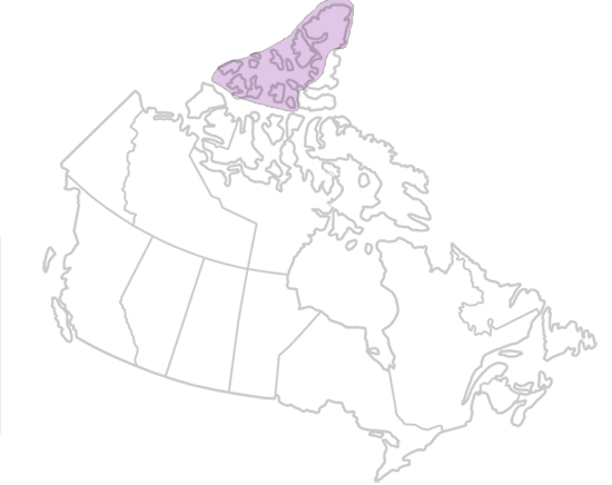 Innuitian Orogen Geological Region