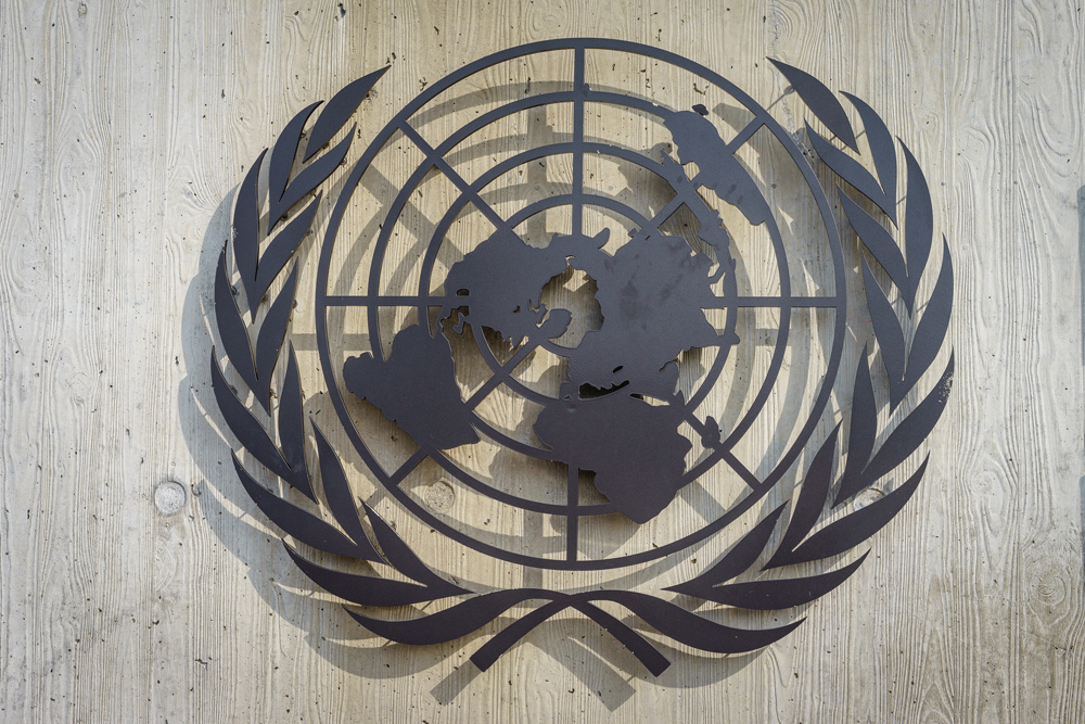 United Nations Symbol