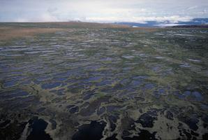 Tablelands Plateau, Gros Morne