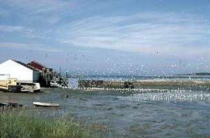 Bay of Fundy