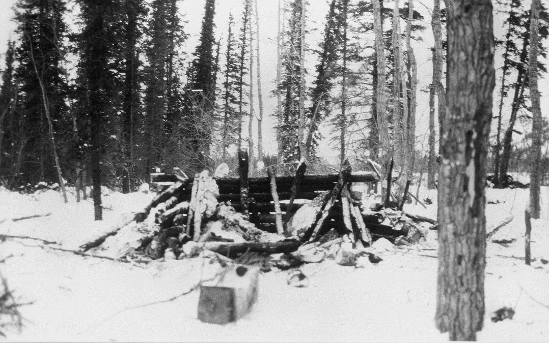 Albert Johnson, « Trappeur fou de la rivière Rat »