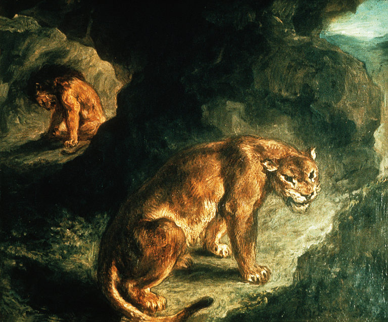 Lioness and Lion in a Cave (1856), Eugène Delacroix.