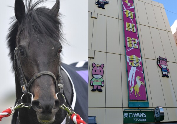 大混戦の有馬記念を制するのはどの馬か？写真は前売りオッズの単勝一番人気ジャスティンパレス