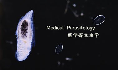 Medical Parasitology | 医学寄生虫学