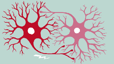 Fundamentals of Neuroscience, Part 1: The Electrical Properties of the Neuron