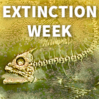 Extinction Week logo