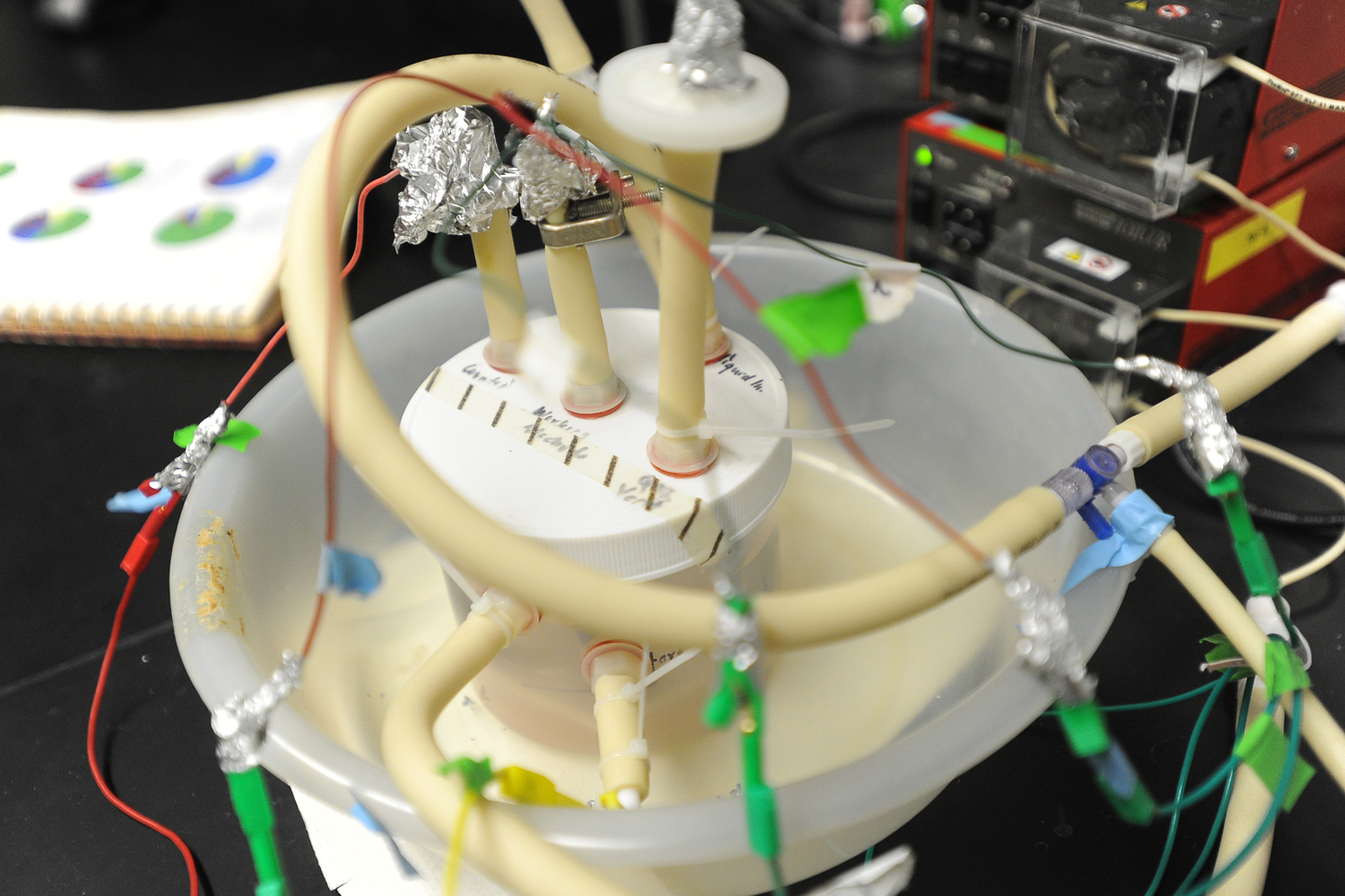 Scientists at USC are doing basic research to determine how certain bacteria are able to transfer electrons great distances from themselves to other cells or inorganic minerals. Photograph by Kent Treptow for PBSNewsHour