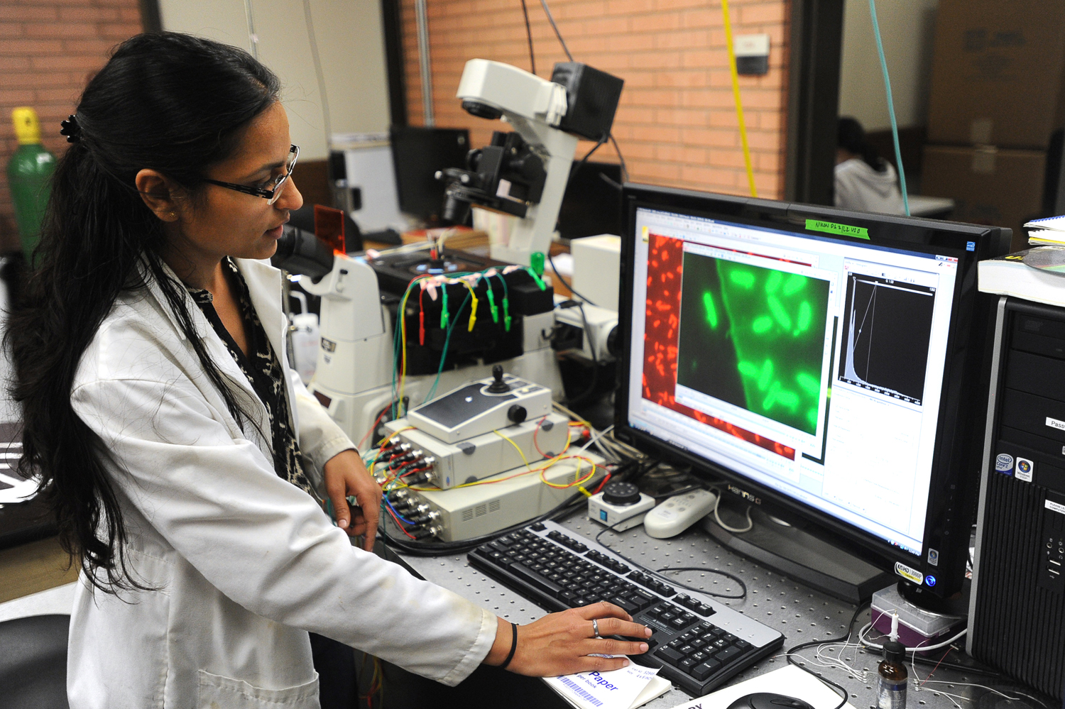 Graduate student Jamini Jangir, 27, points out Shewanella bacteria cells on a computer screen at the University of Southern California. Photograph by Kent Treptow for PBSNewsHour