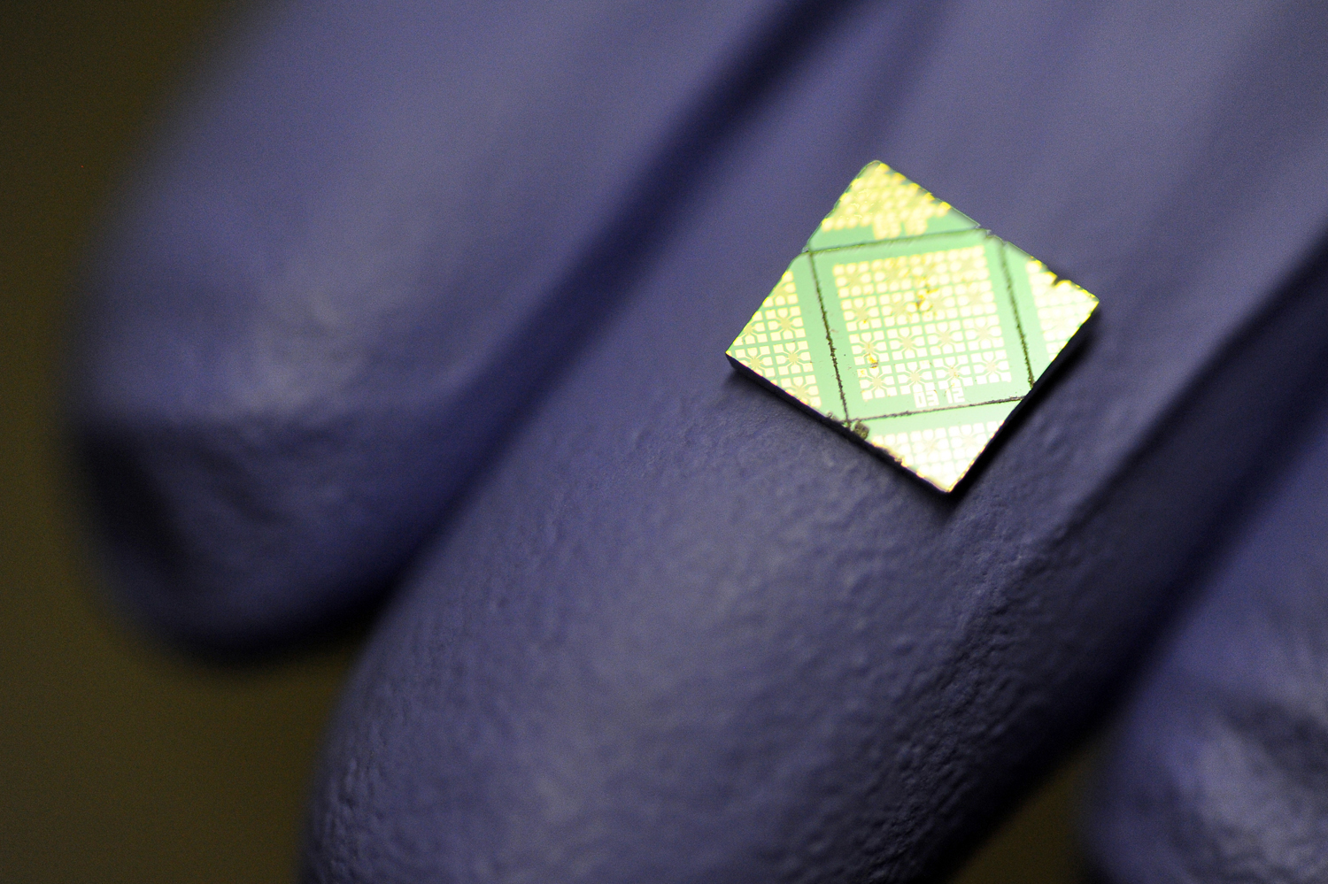 A scientist at the University of Southern California holds a chip containing bacteria cells that are the basis for their research involving biological electron transport. Scientists at USC are doing basic research to determine how certain bacteria are able to transfer electrons great distances from themselves to other cells or inorganic minerals. Photograph by Kent Treptow for PBSNewsHour