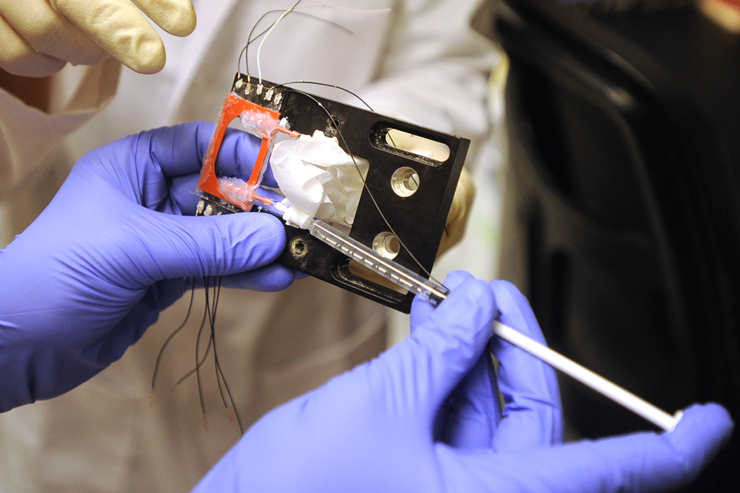 A researcher injects bacteria cells onto a slide at the University of Southern California. Scientists at USC are doing basic research to determine how certain bacteria are able to transfer electrons great distances from themselves to other cells or inorganic minerals. Photograph by Kent Treptow for PBSNewsHour