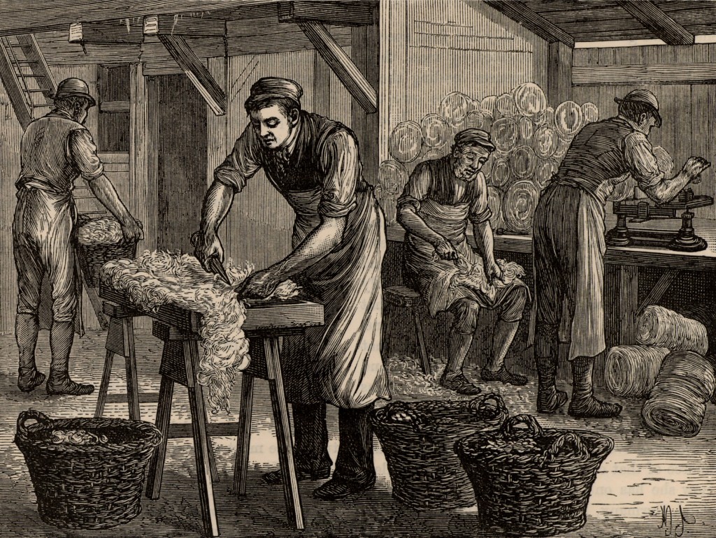 Workers sort the wool from various areas of the fleeces into separate batches. Like tanners, they were at risk of contracting Anthrax from the fleeces. From Great Industries of Great Britain, engraving circa 1880. Photo by Universal History Archive/Getty Images 