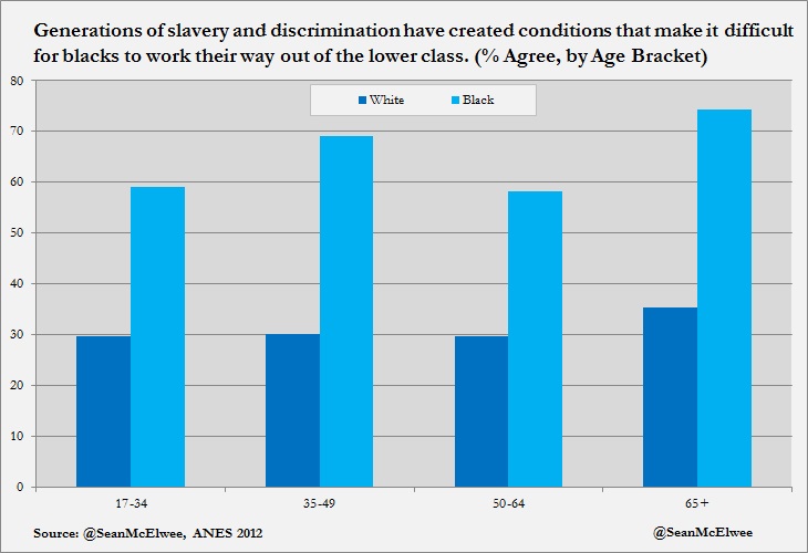 Sean McElwee chart 1