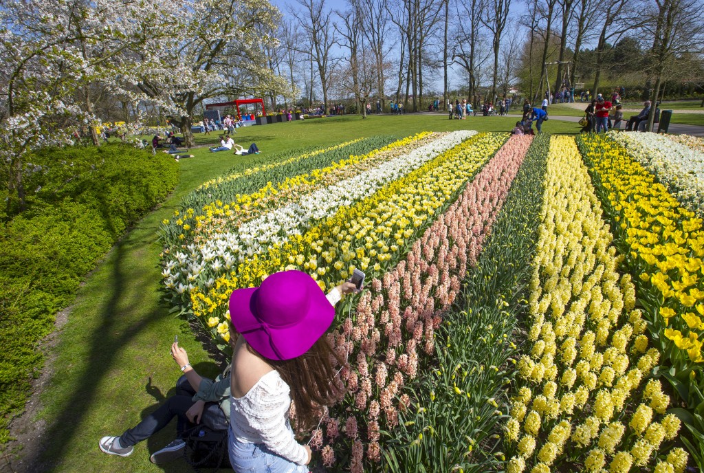 Thousands of visitors descend on the Garden of Europe in Lisse, the Netherlands each year to see millions of flowers bloom. Photo: REUTERS/Yves Herman 