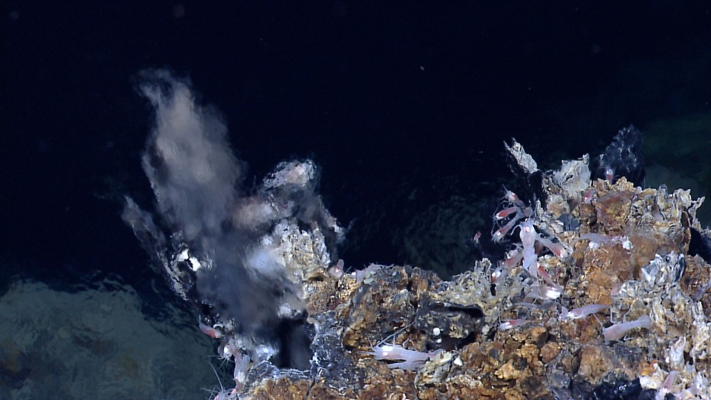 Hydrothermal shrimp and bacteria living near an active hydrothermal vent located southeast of the central Von Damm hydrothermal field in the Mid-Cayman Rise in 2011. Image courtesy of NOAA Okeanos Explorer Program, MCR Expedition 2011