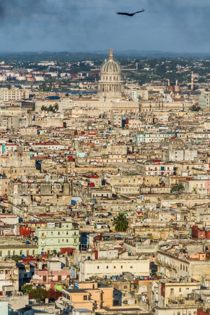 Once the seat of the Cuban government, since 1959 El Capitolio has housed the Cuban Academy of Sciences. Photo by Frank Carlson