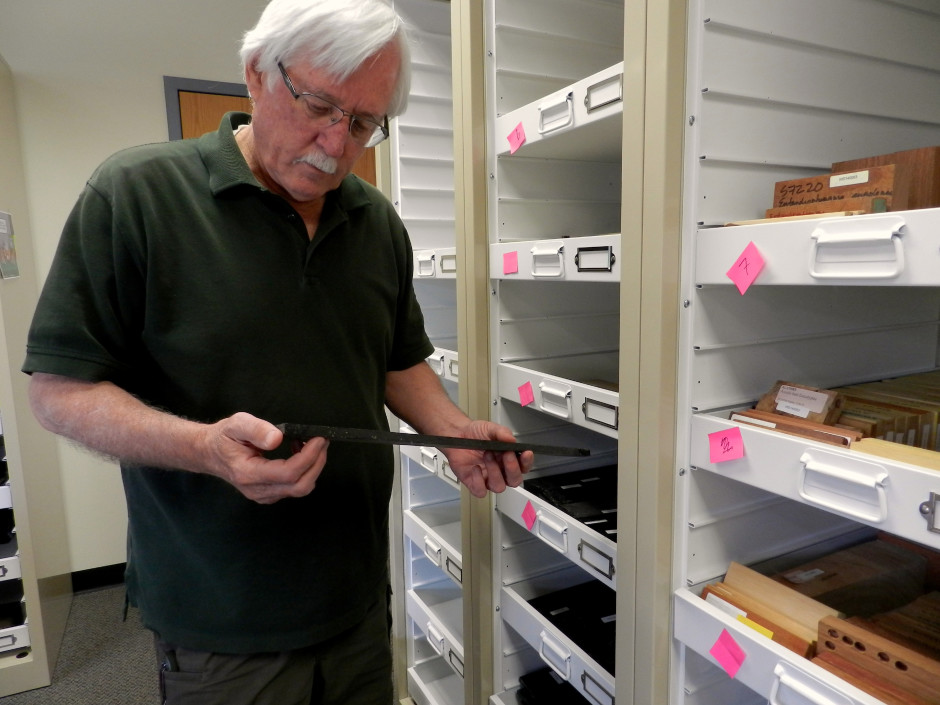 Pieces, parts, products and whole animals are seized by law enforcement officers and sent to the Ashland lab for analysis. Photo by Jes Burns, OPB/EarthFix