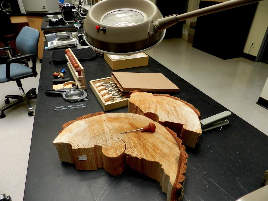 Scientists at the USFWS Forensics Lab are using innovative techniques to identify wood samples. Photo by Jes Burns, OPB/EarthFix