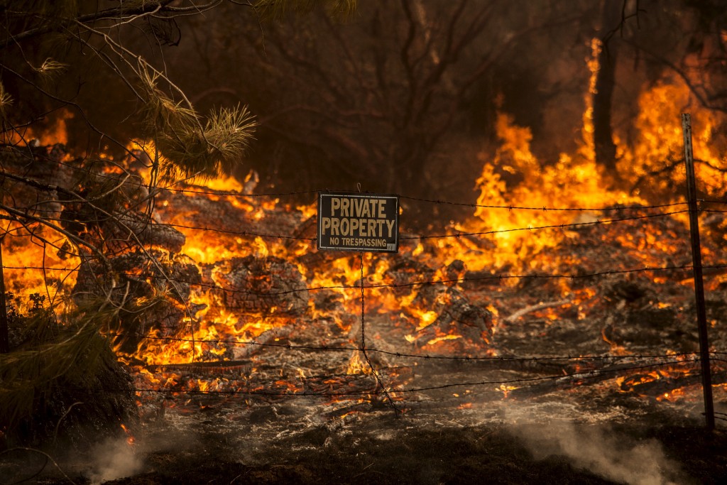 The Rocky Fire burns through a fence line in Lake County, California. Photo by Max Whittaker/Reuters