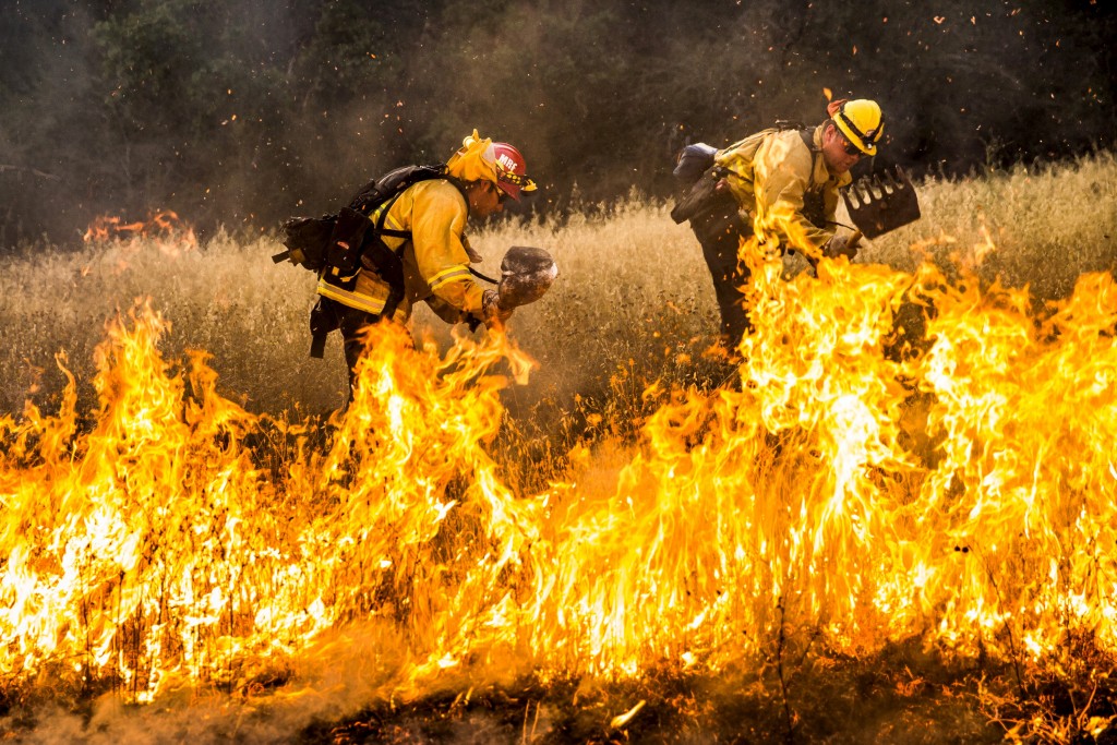 Firefighters work to dig a fire line on the Rocky Fire in Lake County, California July 30, 2015. Photo by Max Whittaker/Reuters