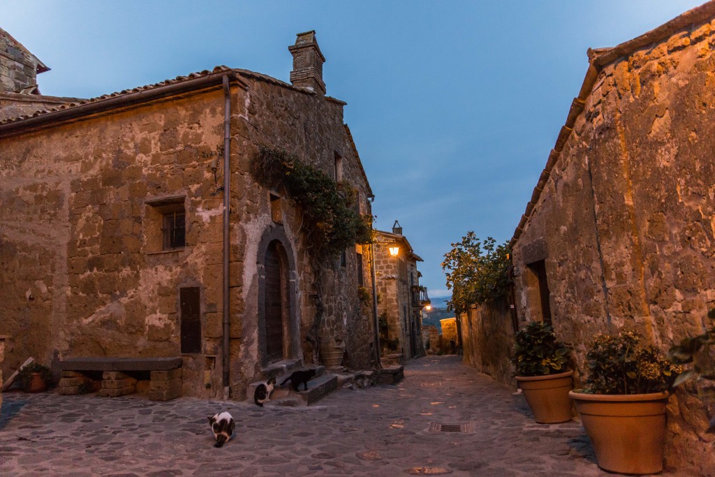 With tourists gone, Civita di Bagnoregio’s many cats reclaim the streets. Photo by Frank Carlson